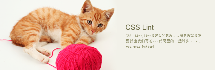 从 CSS Lint 出发,谈样式优化 从 CSS Lint 出发,谈样式优化